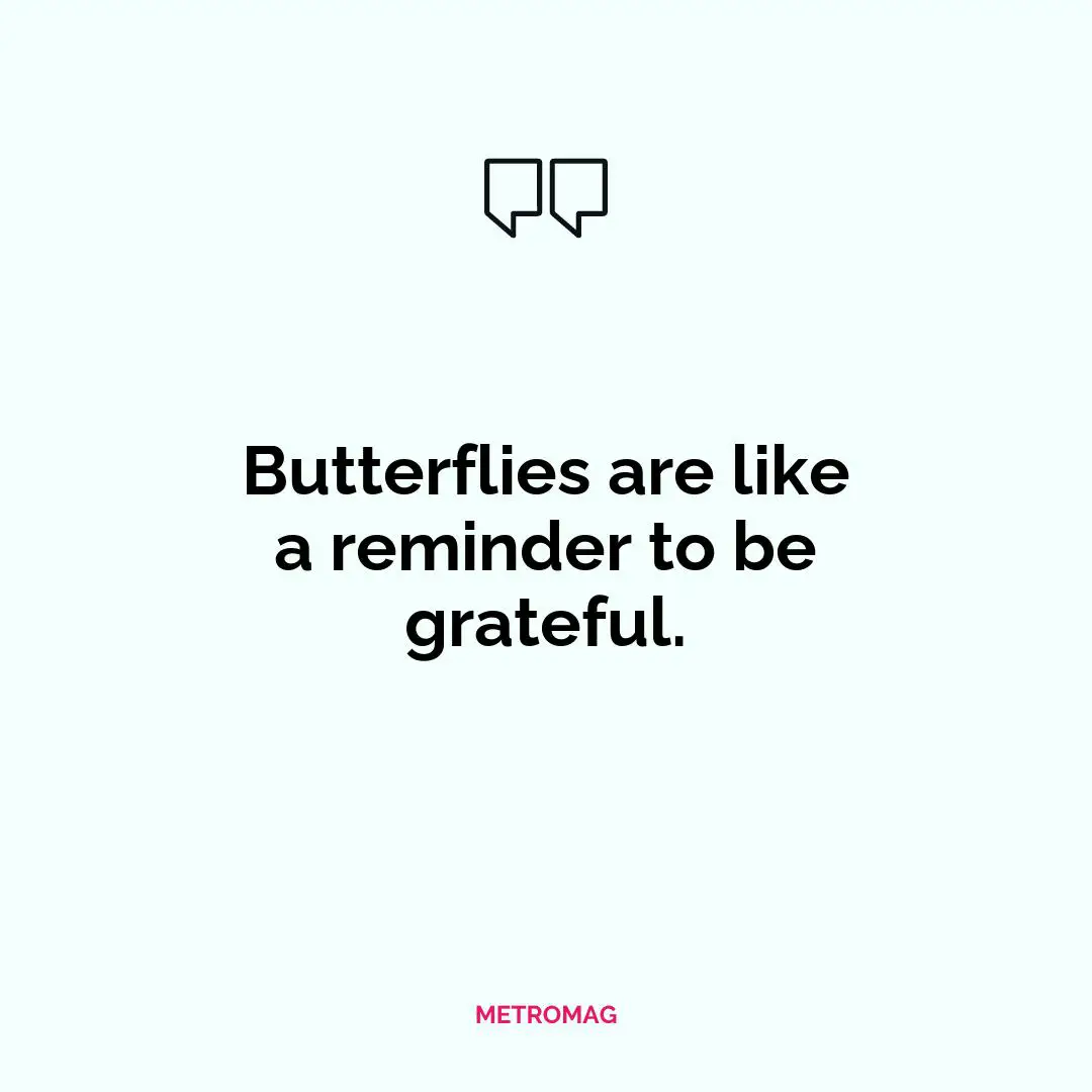 Butterflies are like a reminder to be grateful.