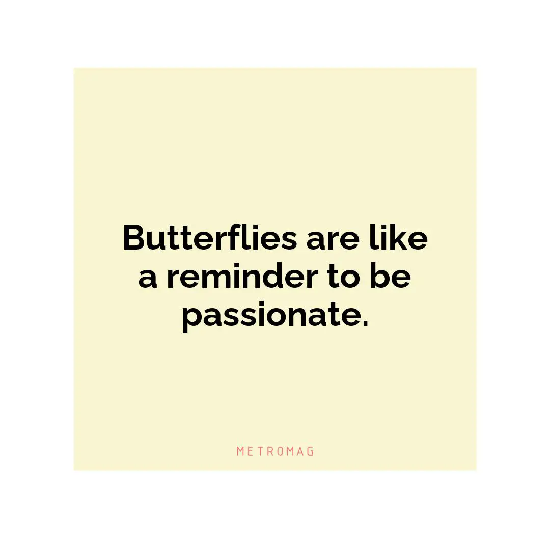 Butterflies are like a reminder to be passionate.