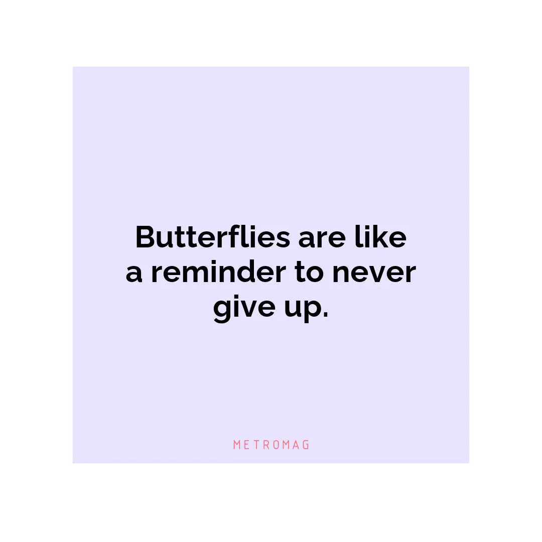 Butterflies are like a reminder to never give up.