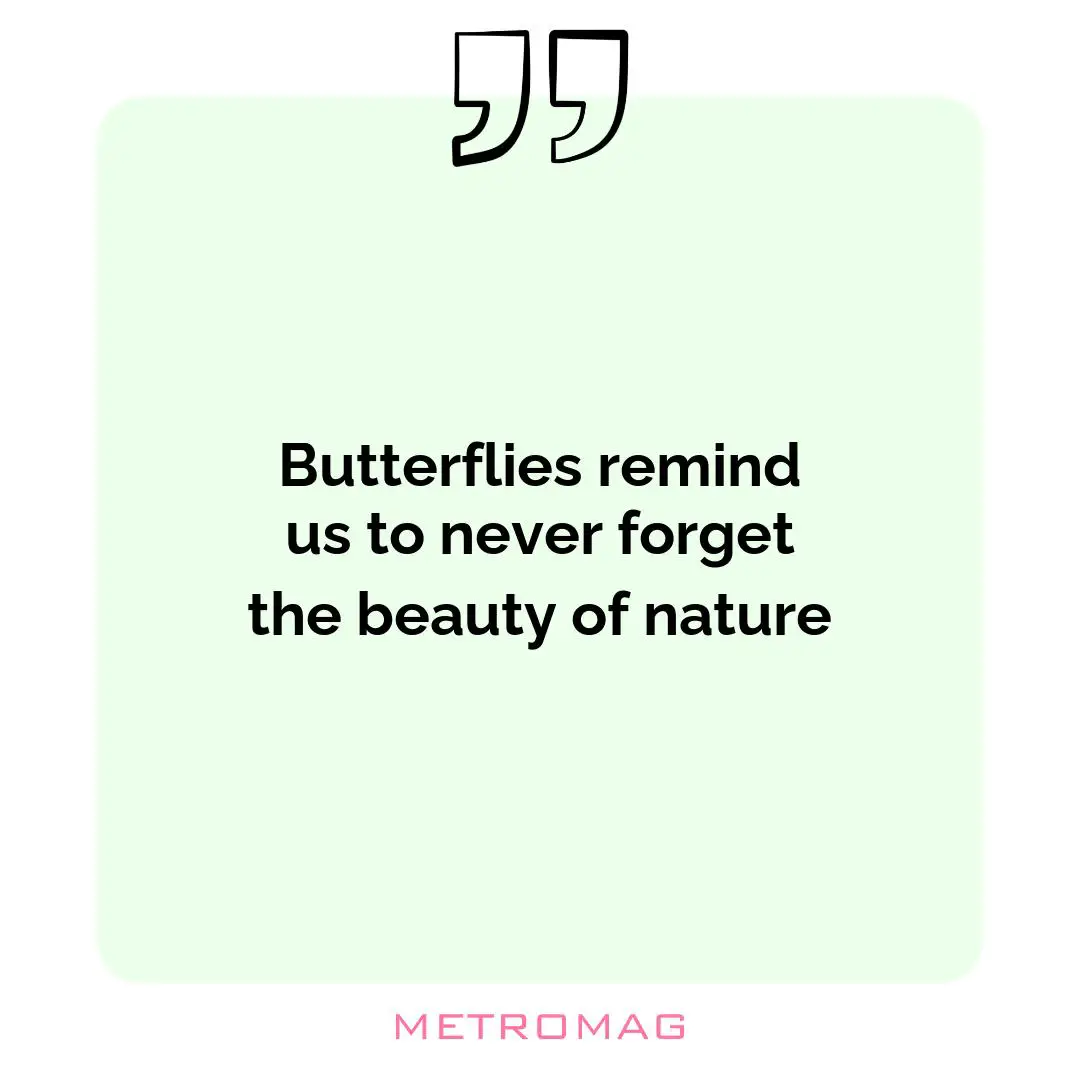 Butterflies remind us to never forget the beauty of nature