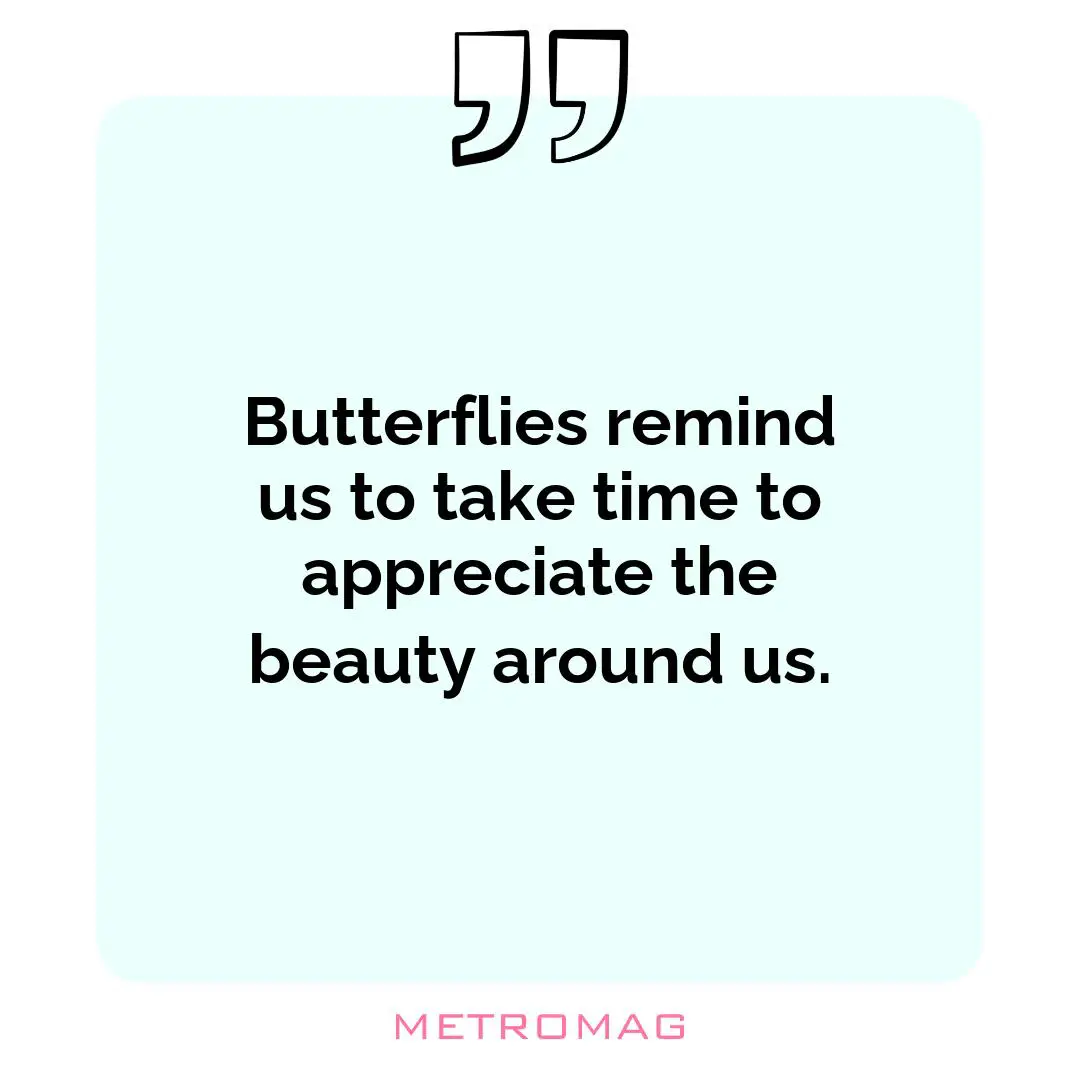 Butterflies remind us to take time to appreciate the beauty around us.