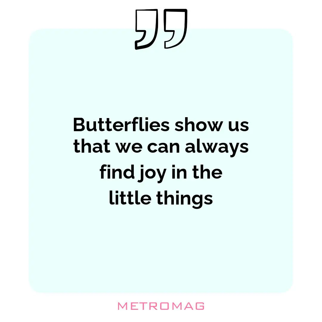 Butterflies show us that we can always find joy in the little things