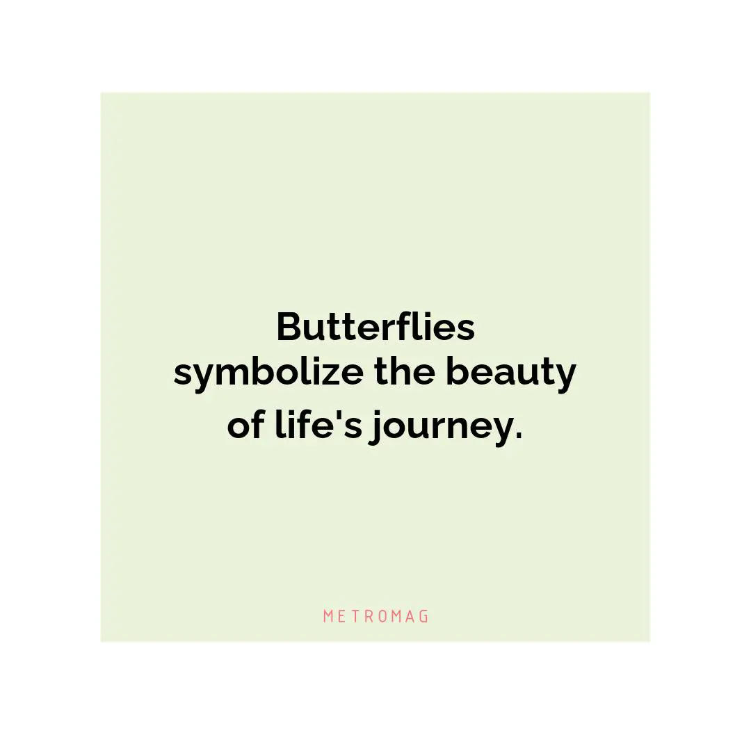 Butterflies symbolize the beauty of life's journey.