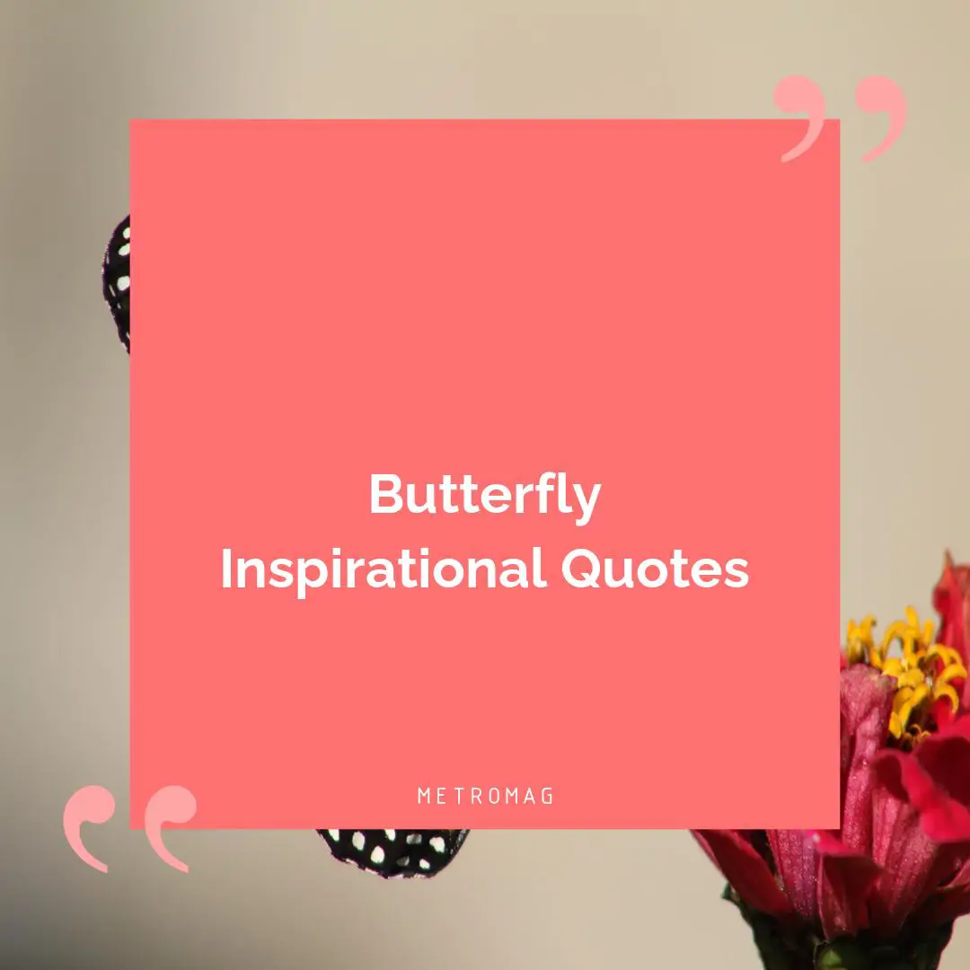 Butterfly Inspirational Quotes
