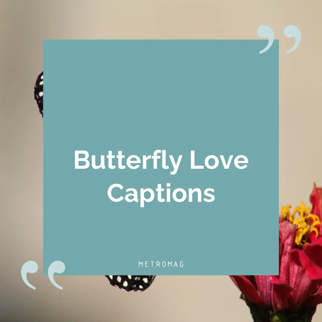 Butterfly Love Captions
