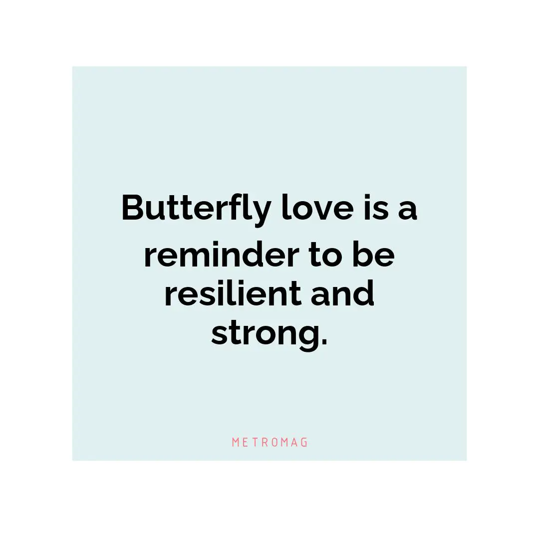 Butterfly love is a reminder to be resilient and strong.