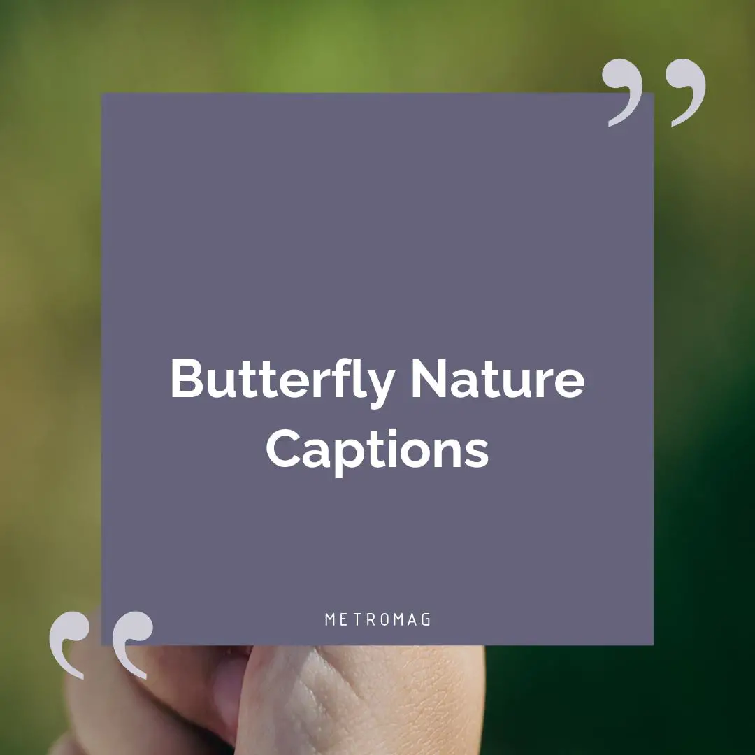Butterfly Nature Captions