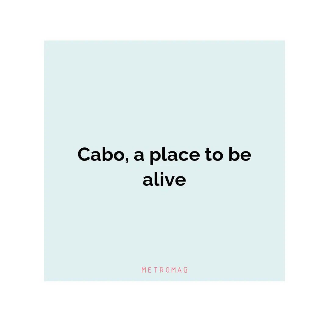 Cabo, a place to be alive