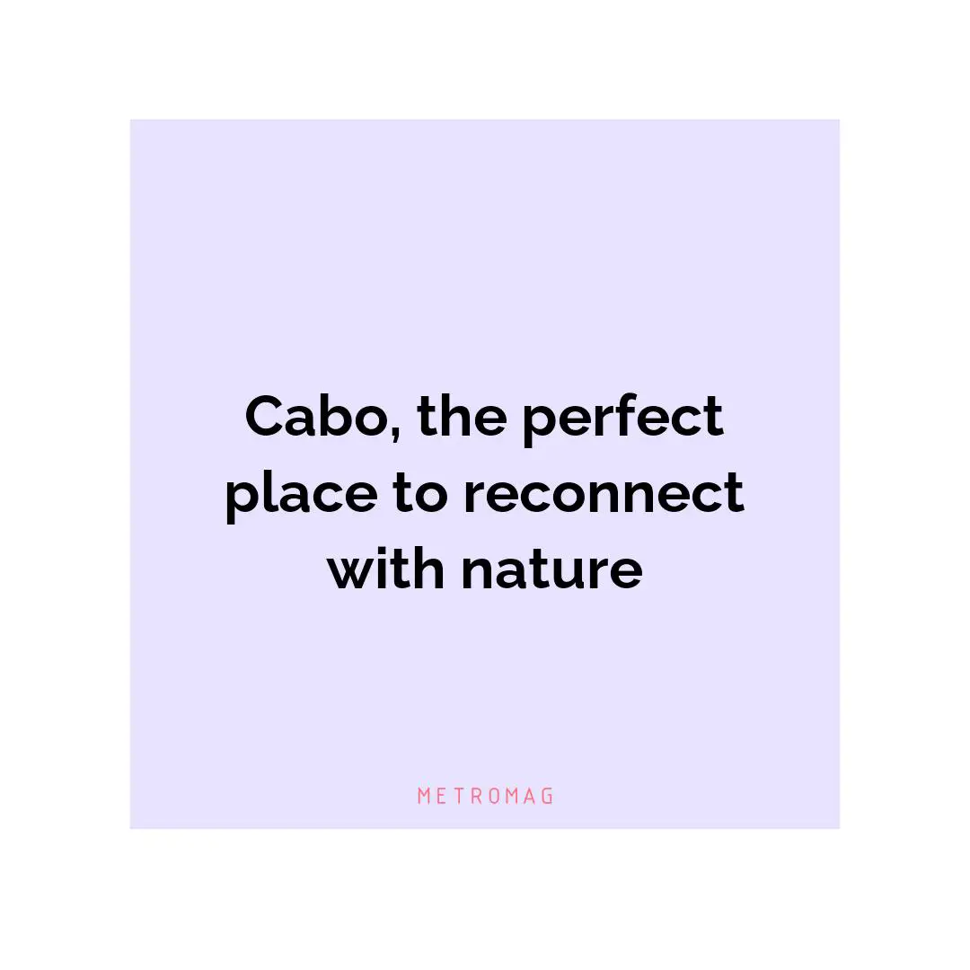 Cabo, the perfect place to reconnect with nature