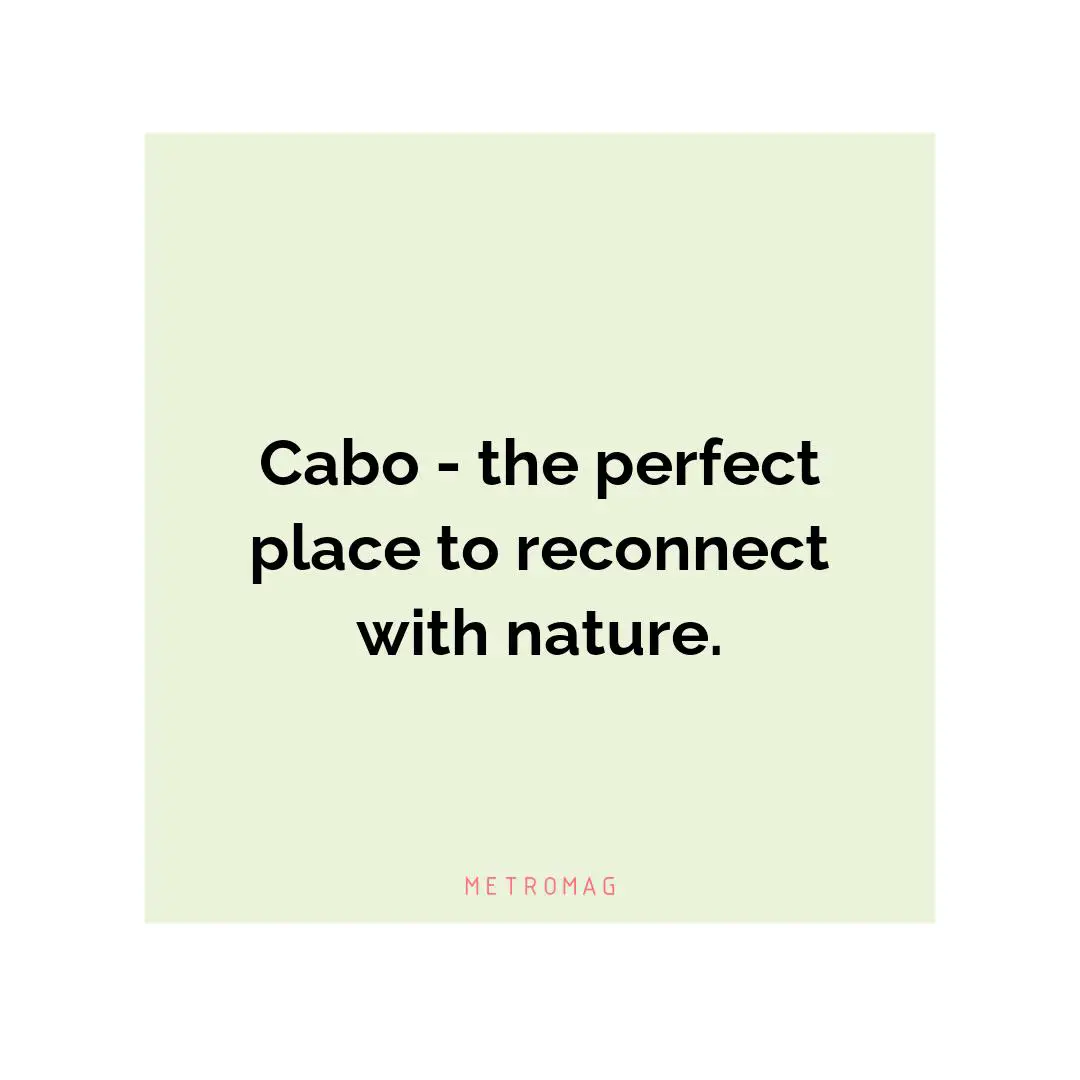 Cabo - the perfect place to reconnect with nature.