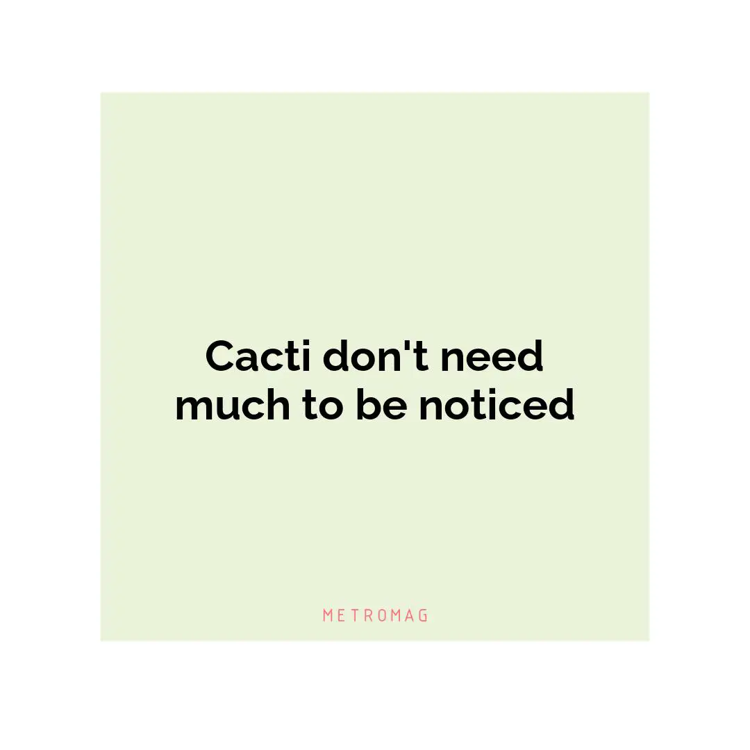 Cacti don't need much to be noticed