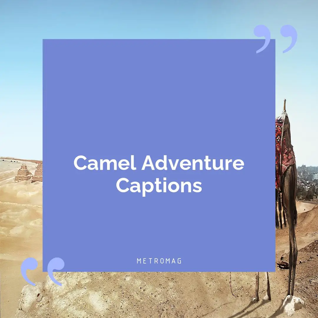 Camel Adventure Captions