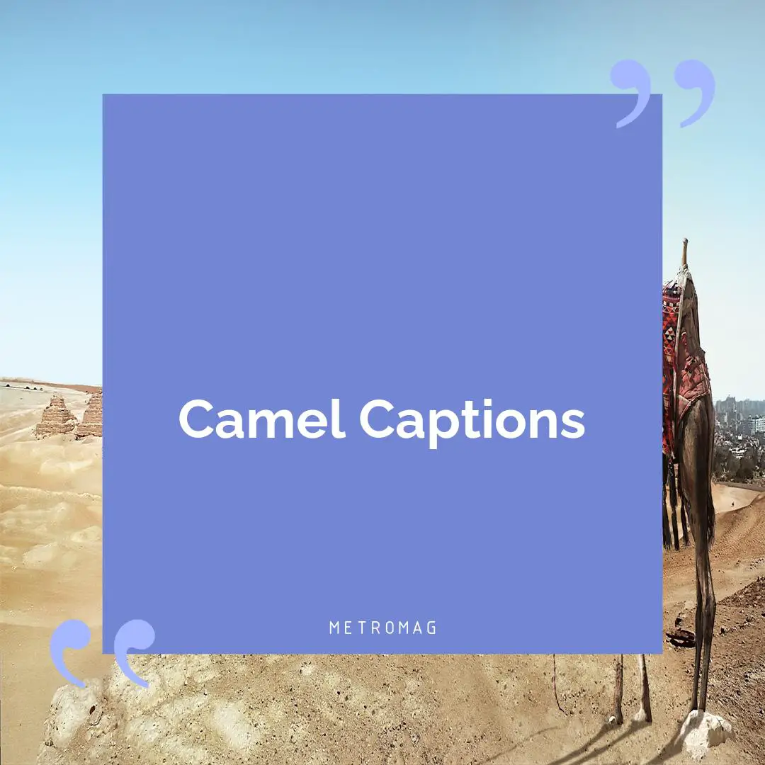 Camel Captions