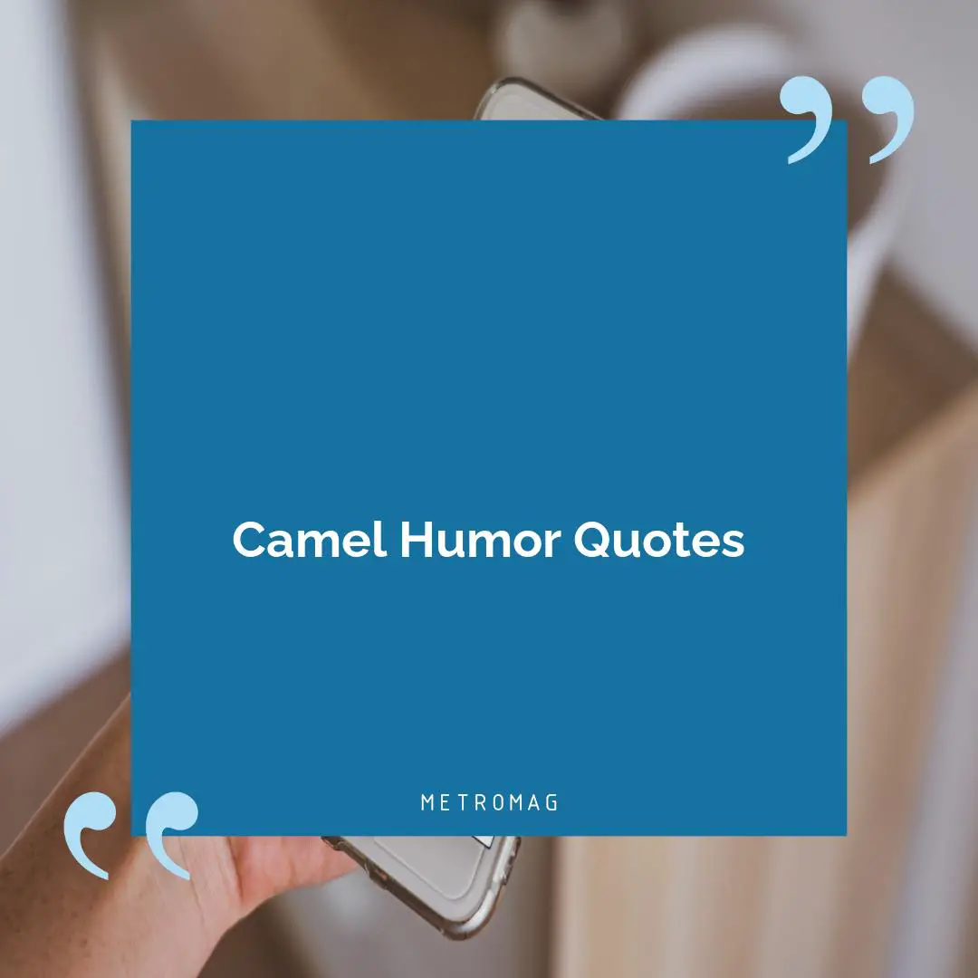 Camel Humor Quotes