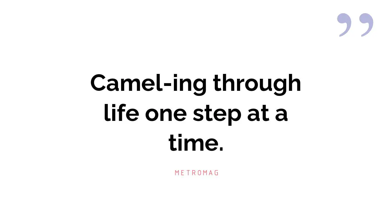 Camel-ing through life one step at a time.