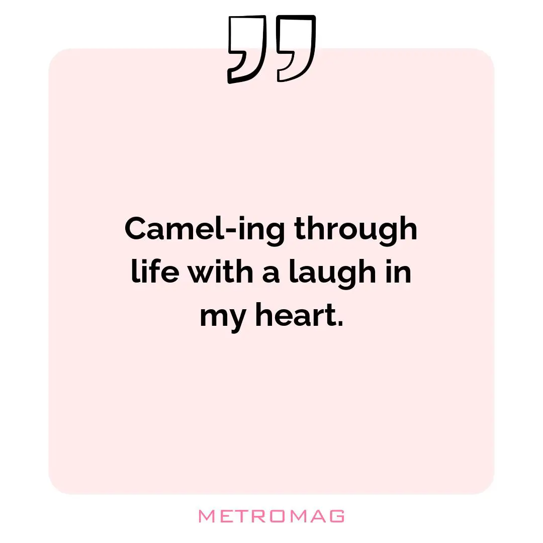 Camel-ing through life with a laugh in my heart.