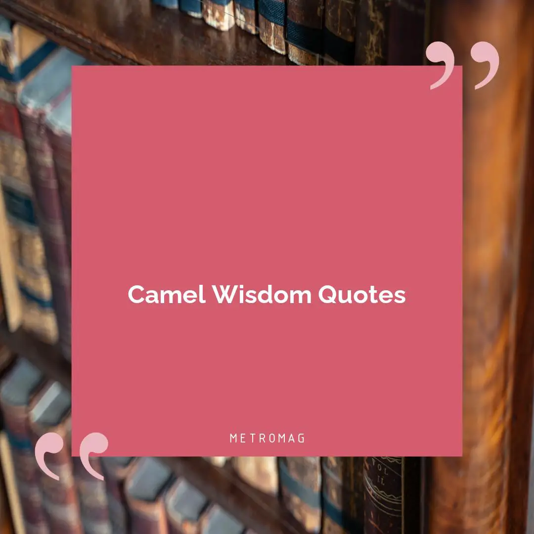 Camel Wisdom Quotes