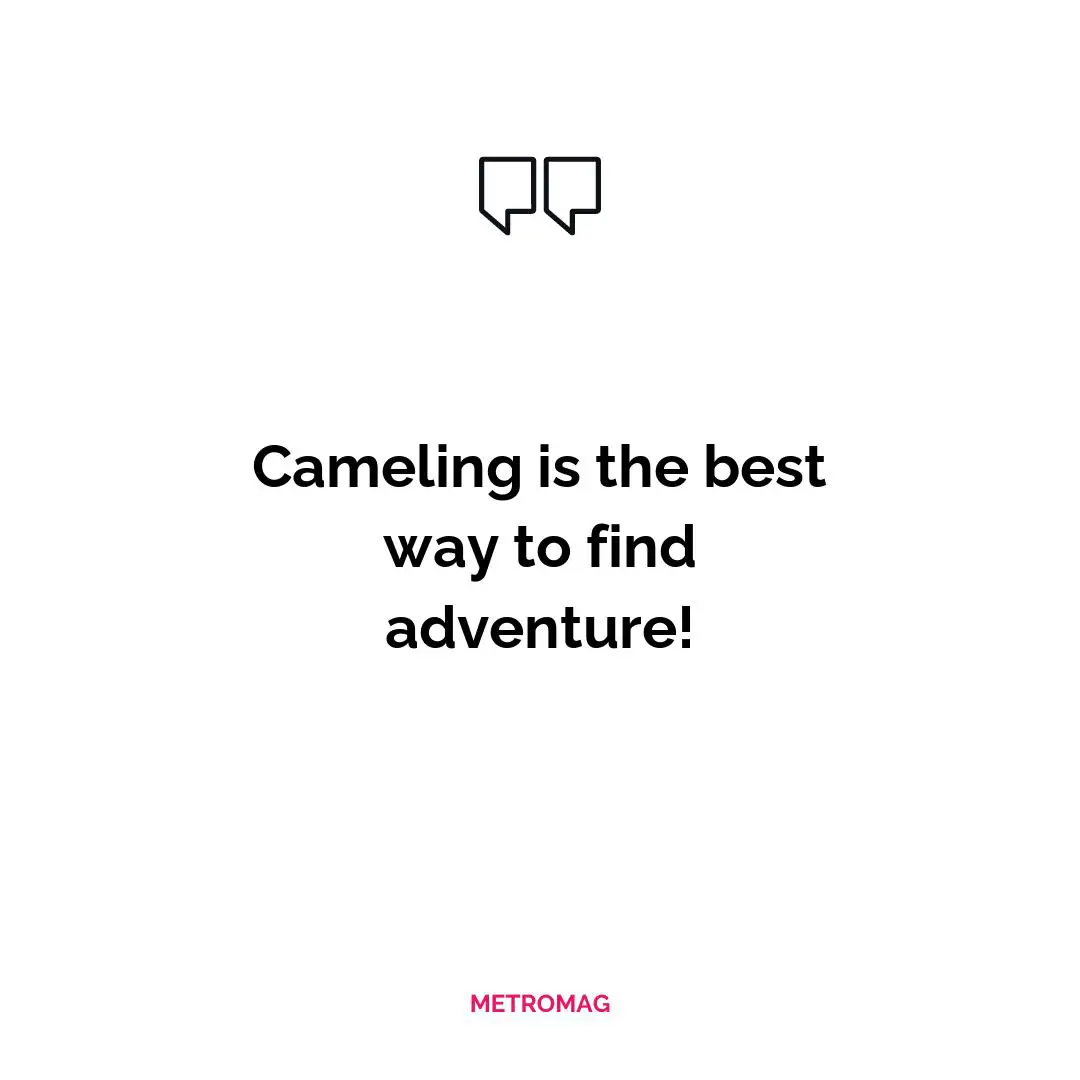 Cameling is the best way to find adventure!