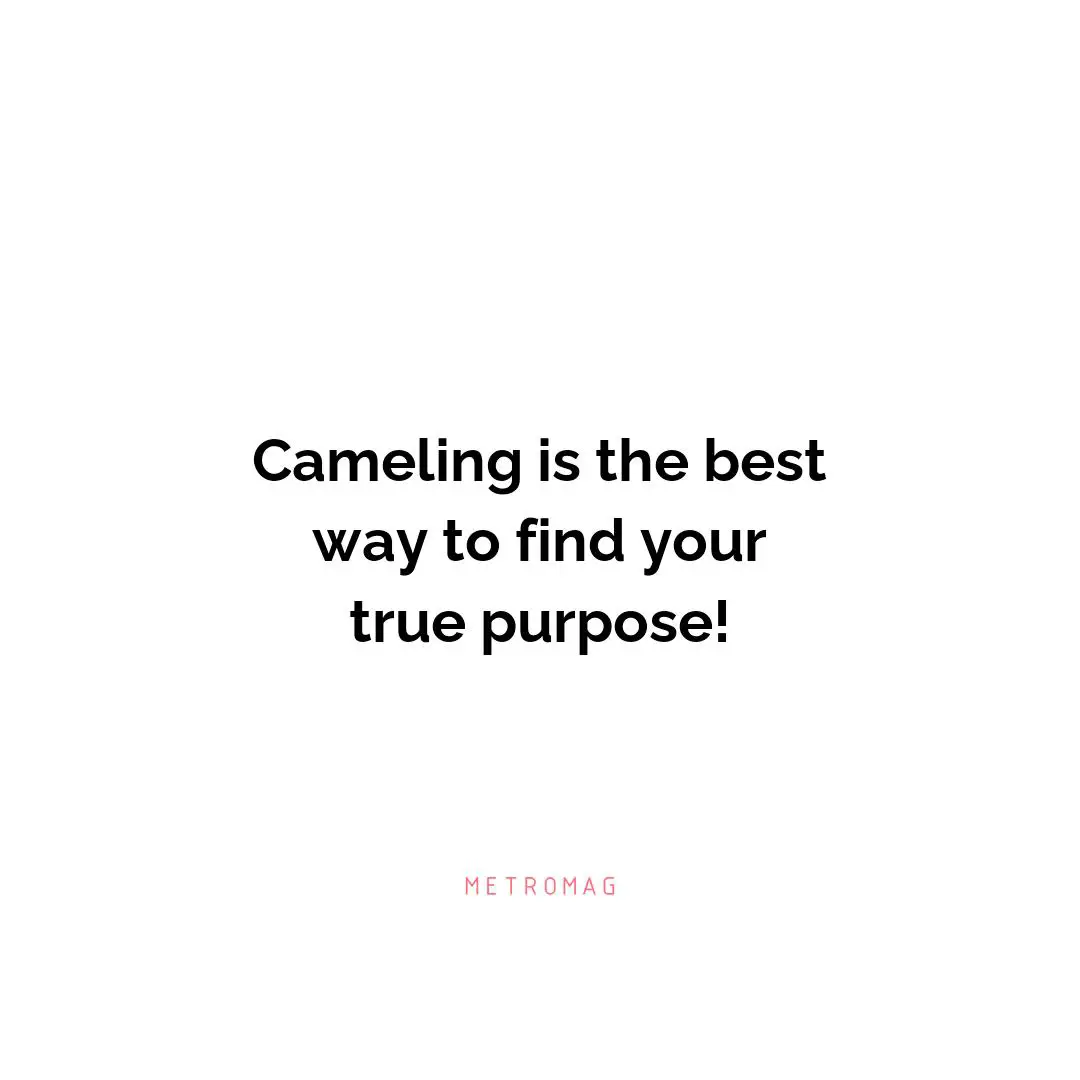 Cameling is the best way to find your true purpose!