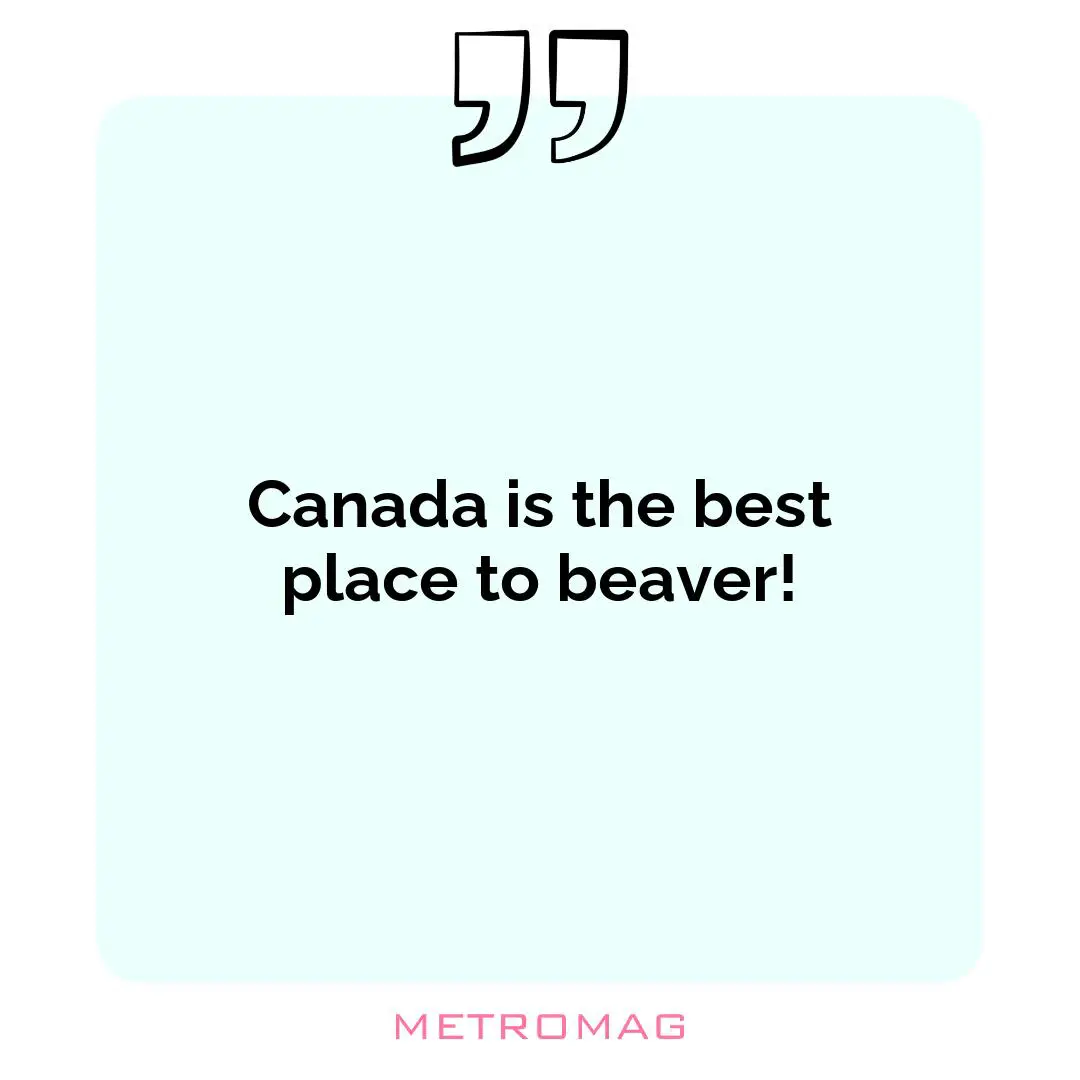 Canada is the best place to beaver!