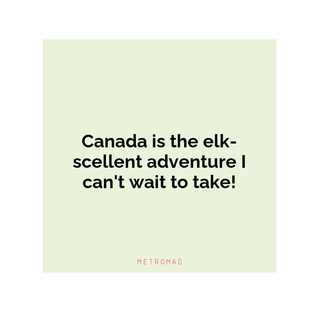 Canada is the elk-scellent adventure I can't wait to take!