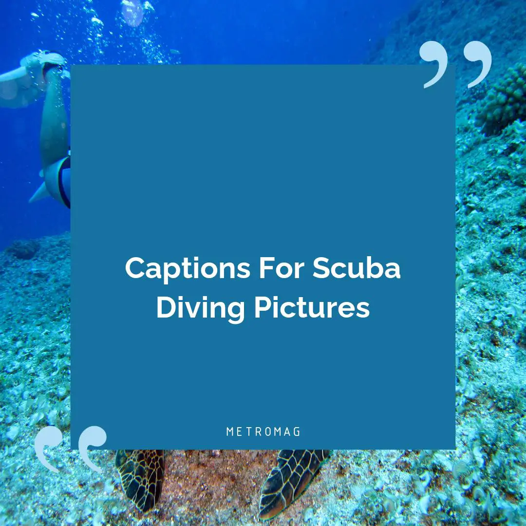 Captions For Scuba Diving Pictures
