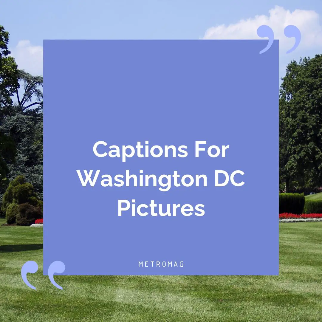Captions For Washington DC Pictures