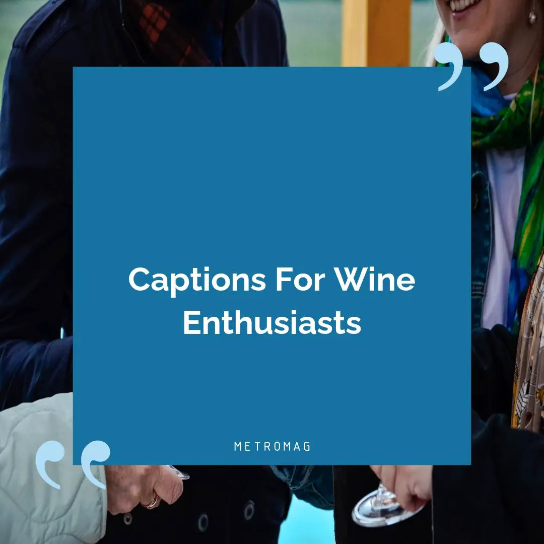 Captions For Wine Enthusiasts