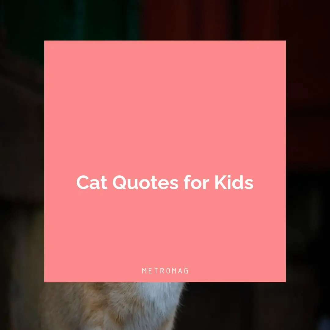 Cat Quotes for Kids