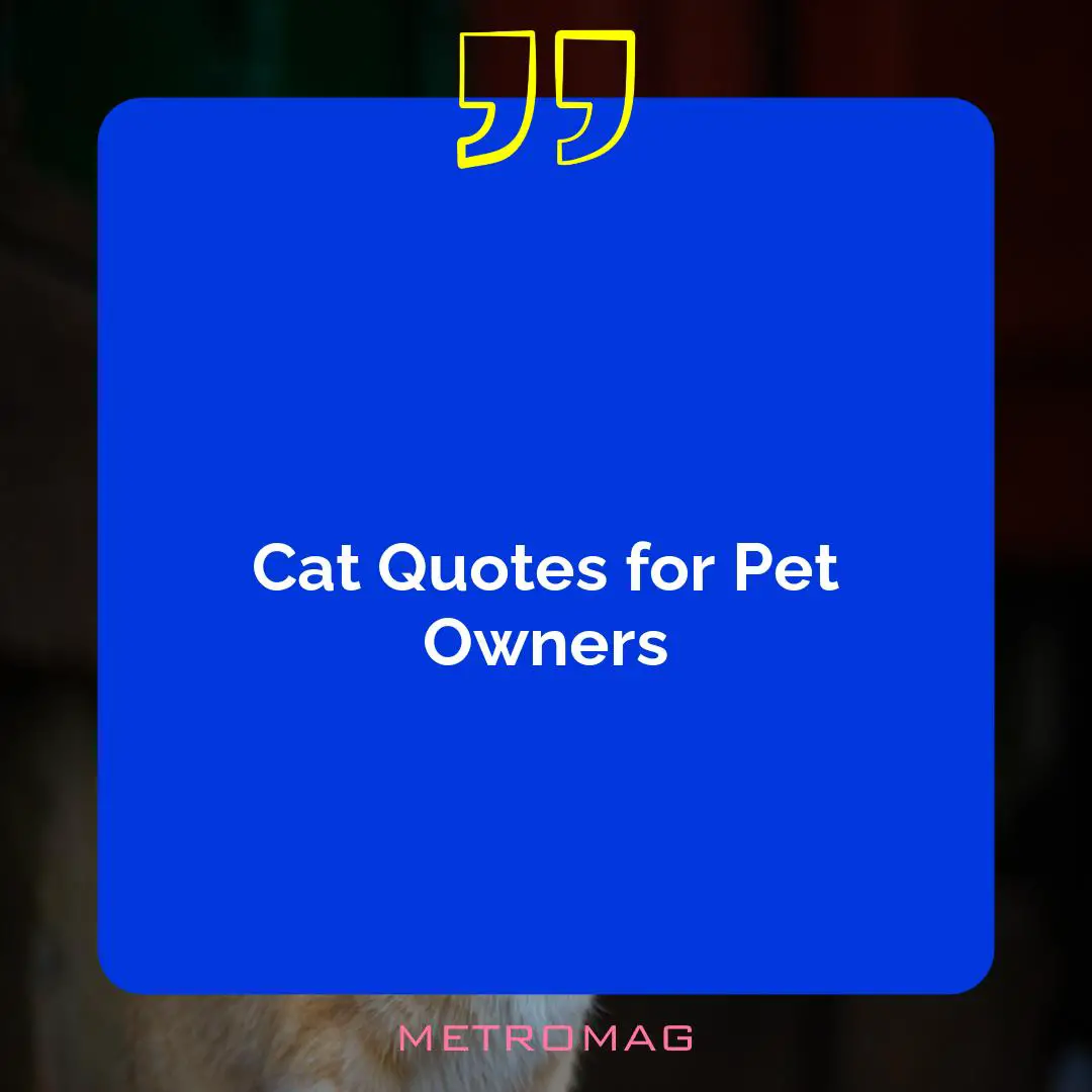Cat Quotes for Pet Owners