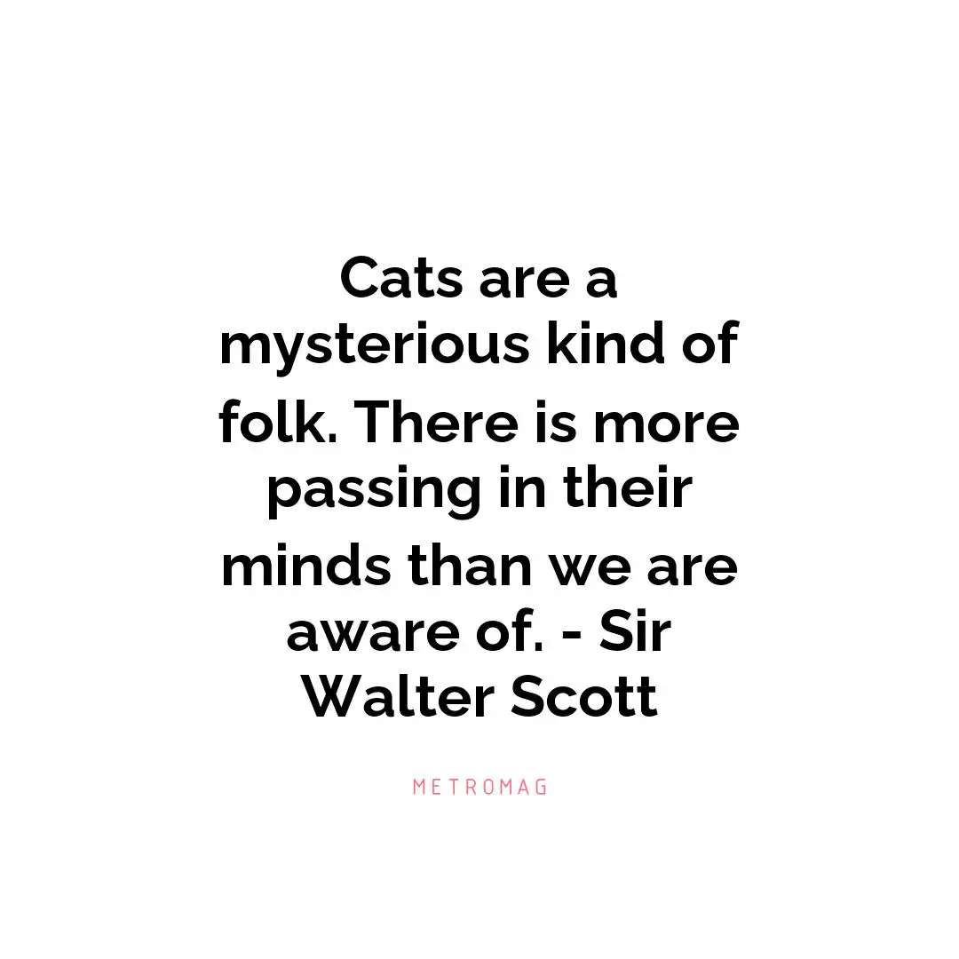 Cats are a mysterious kind of folk. There is more passing in their minds than we are aware of. - Sir Walter Scott