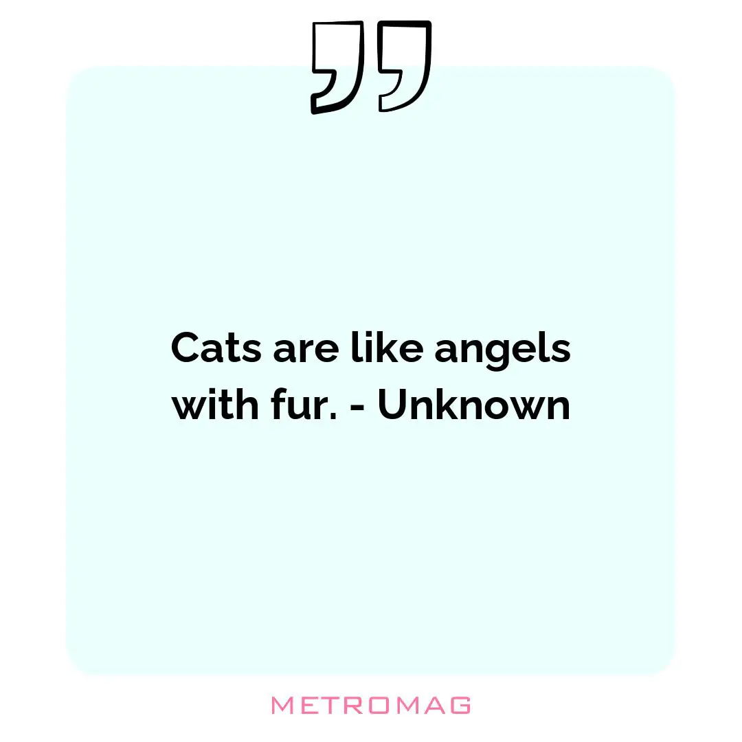 Cats are like angels with fur. - Unknown