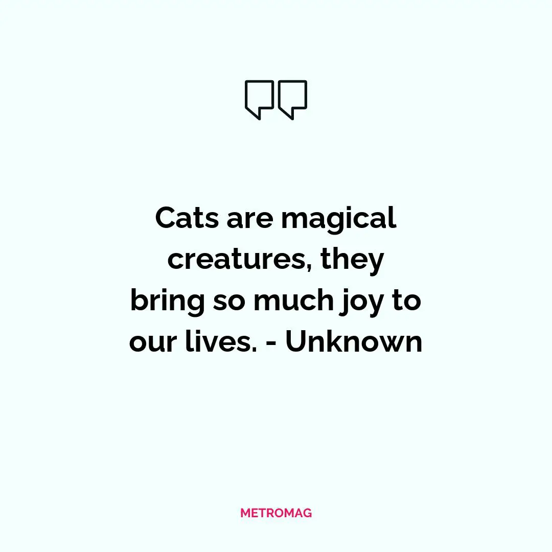 Cats are magical creatures, they bring so much joy to our lives. - Unknown
