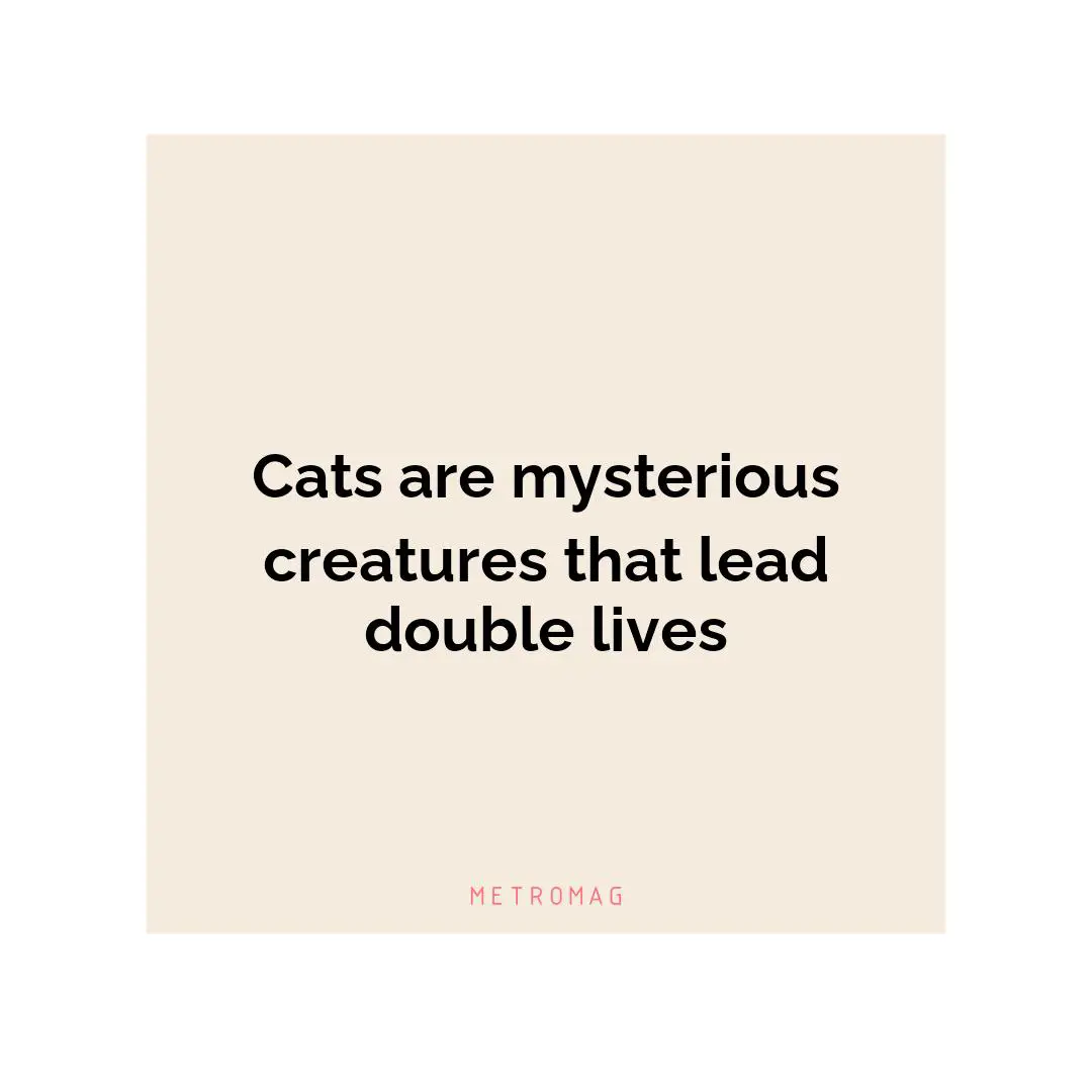 Cats are mysterious creatures that lead double lives