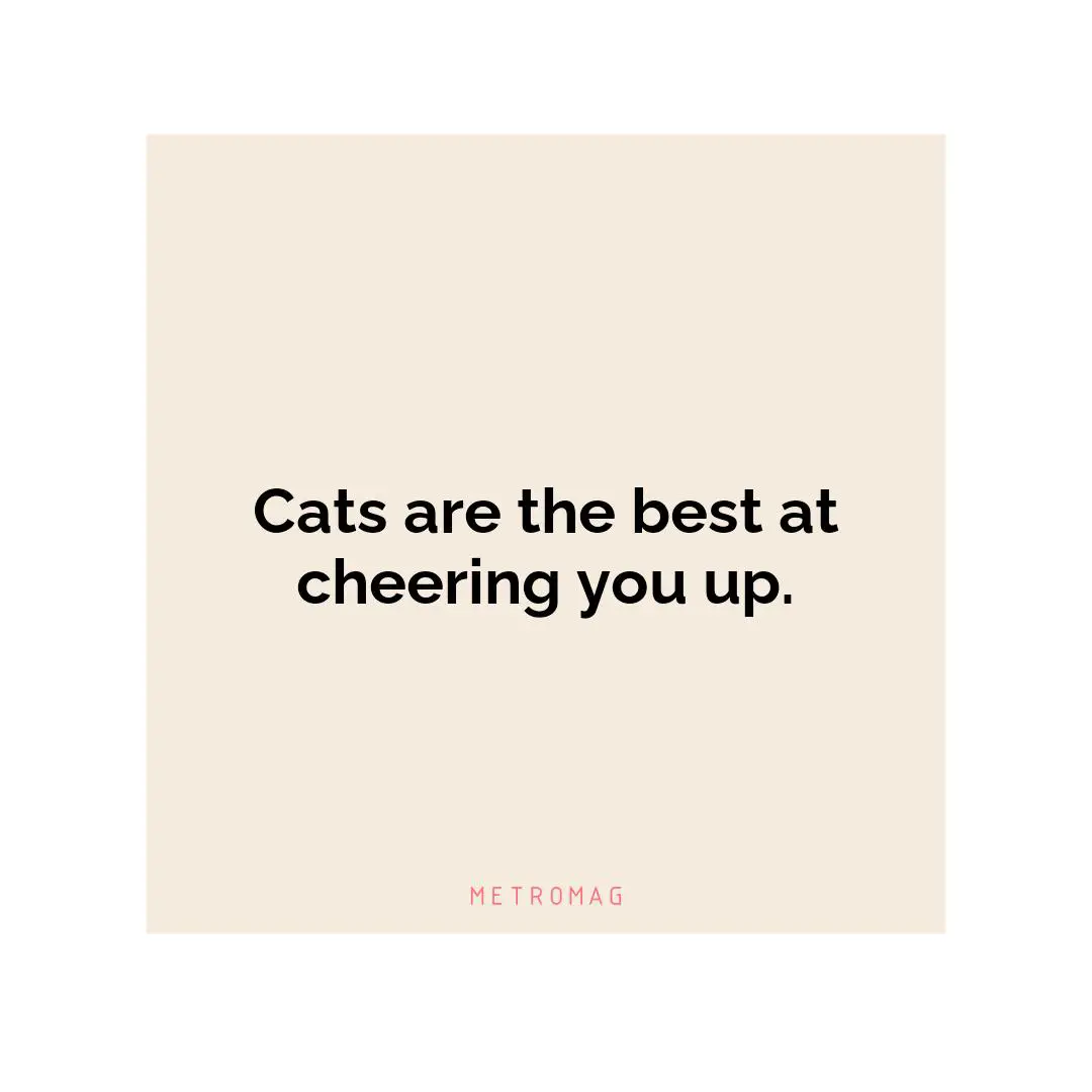 Cats are the best at cheering you up.