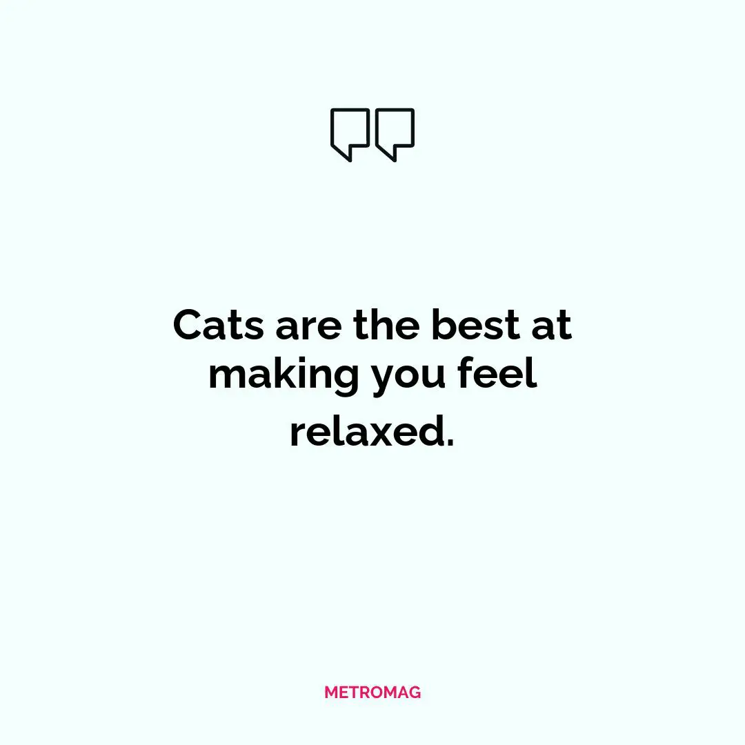 Cats are the best at making you feel relaxed.