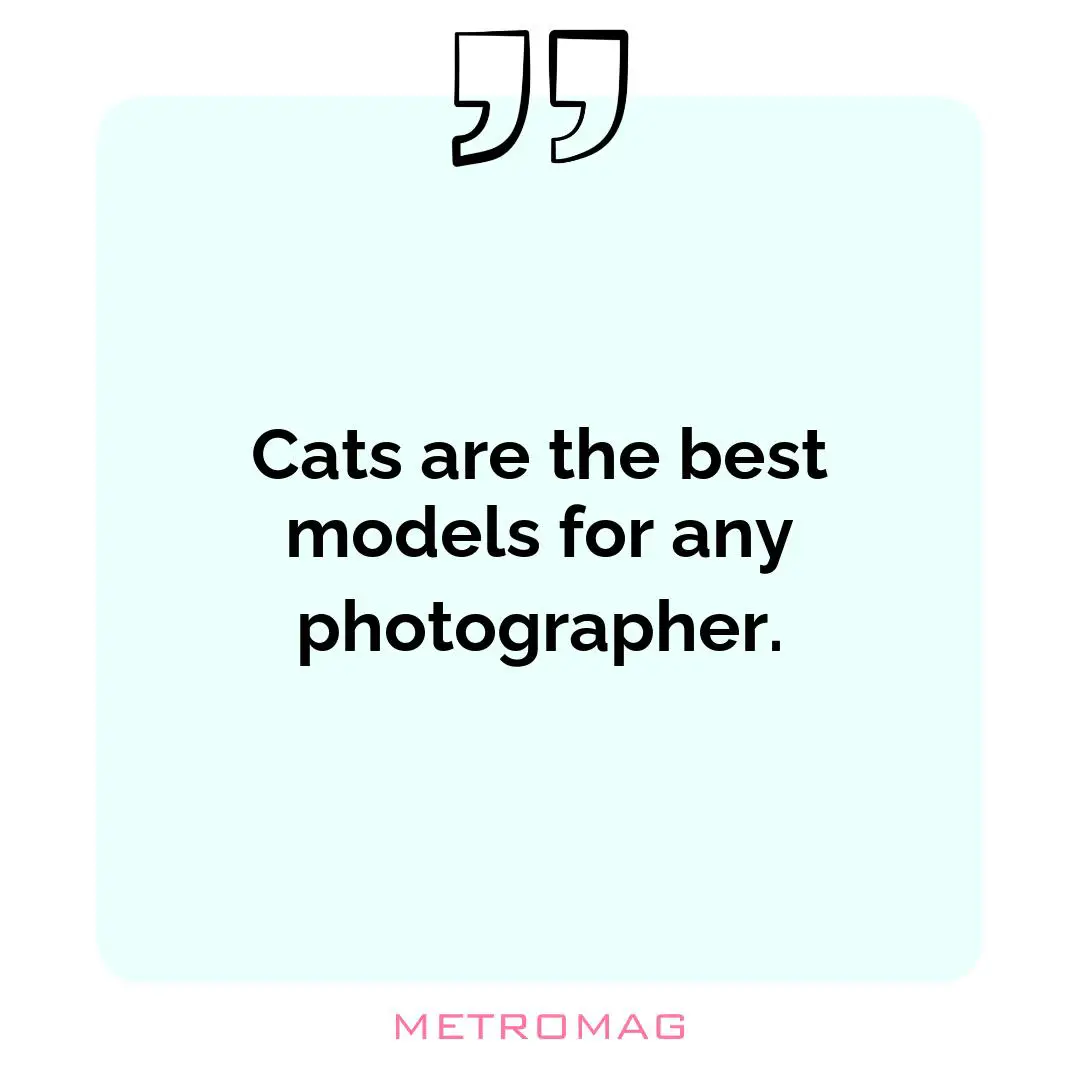 Cats are the best models for any photographer.