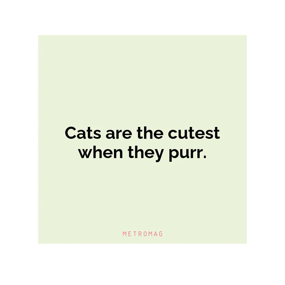 Cats are the cutest when they purr.