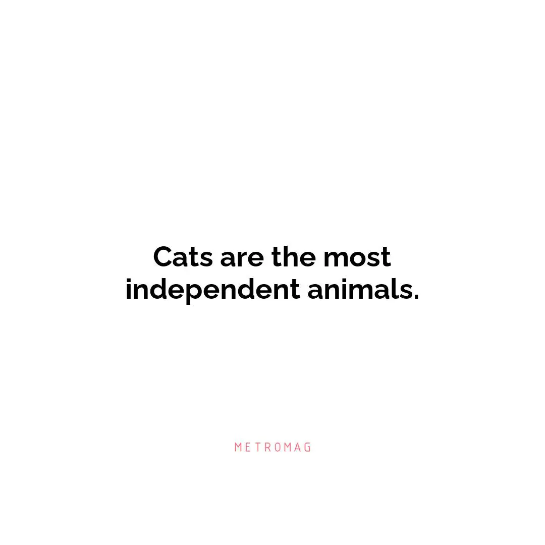 Cats are the most independent animals.