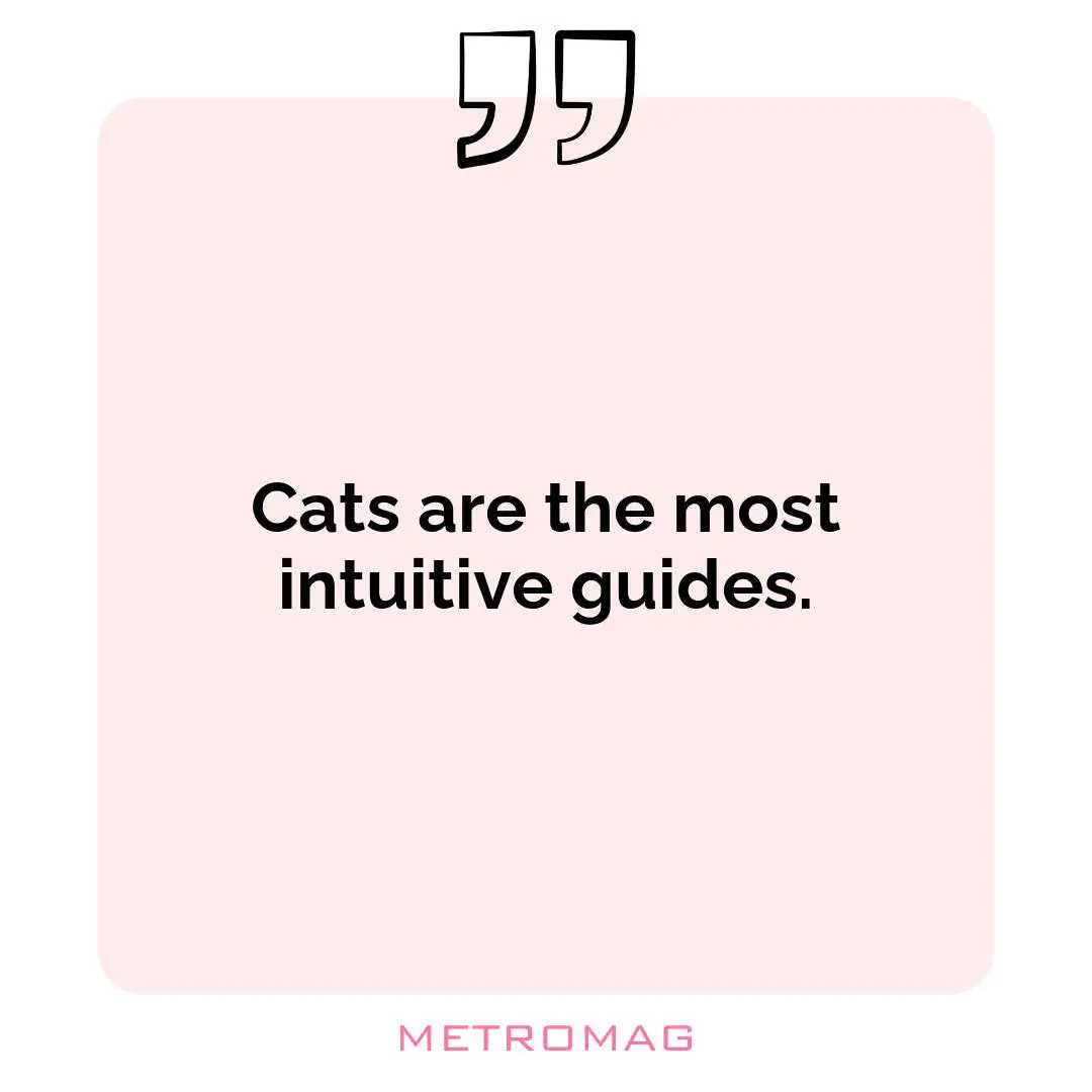 Cats are the most intuitive guides.