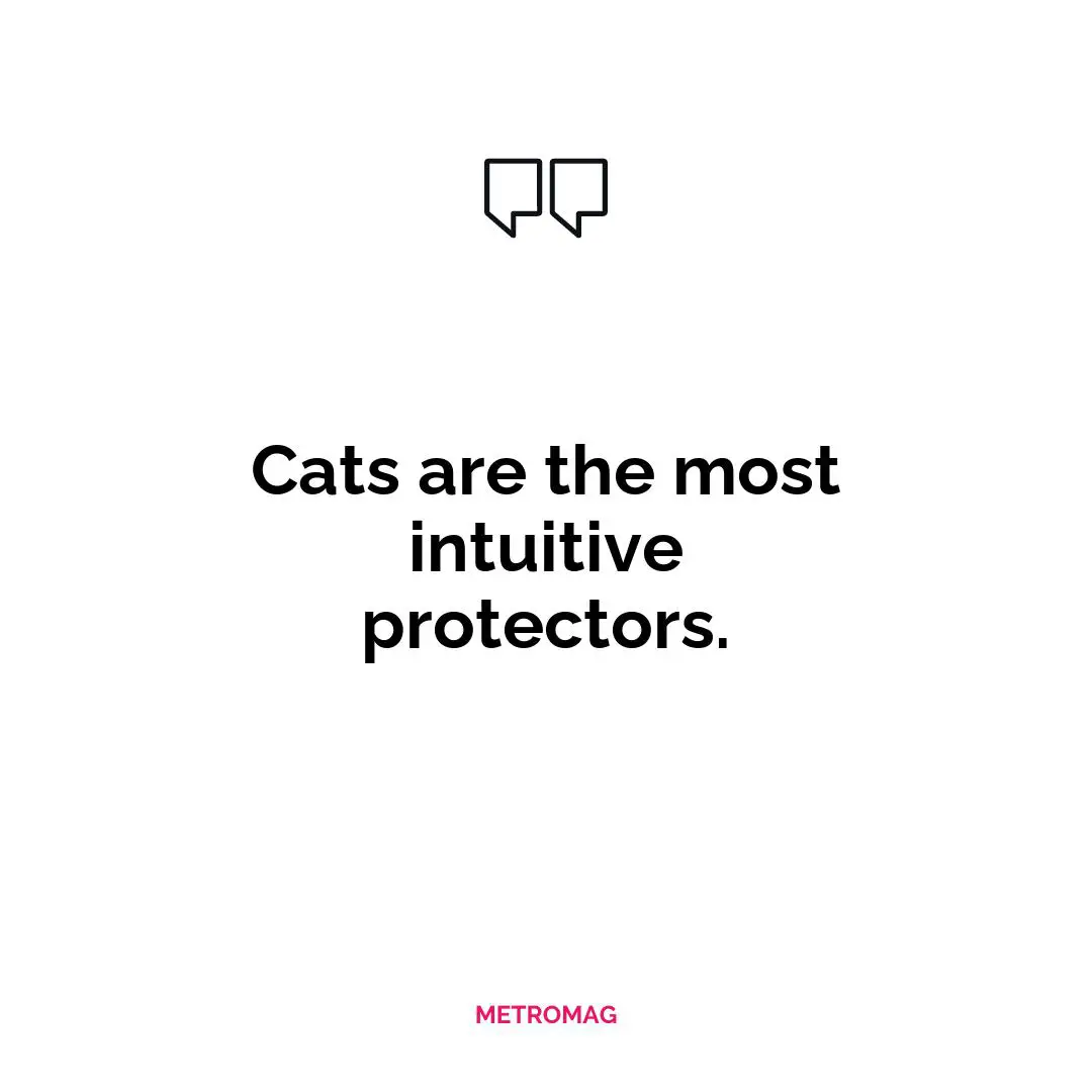 Cats are the most intuitive protectors.