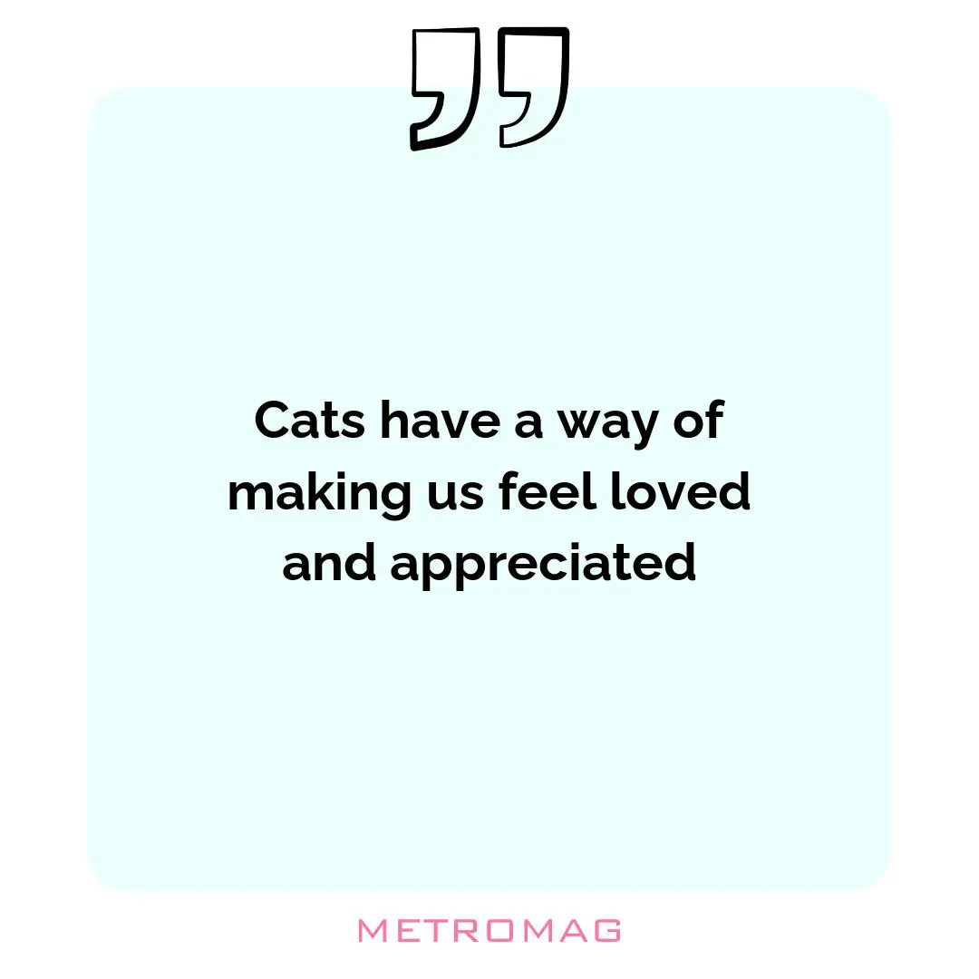 Cats have a way of making us feel loved and appreciated