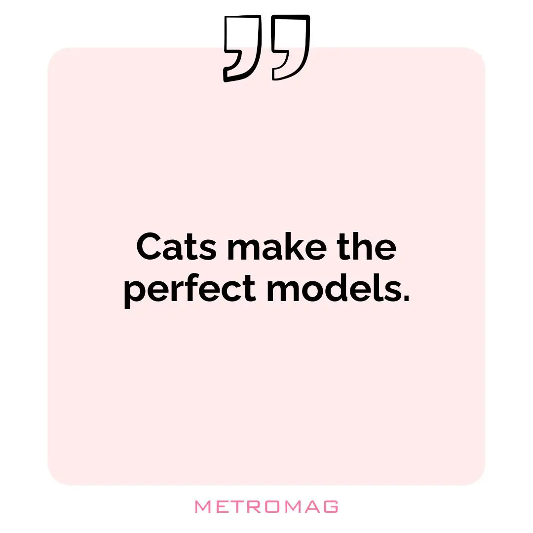 Cats make the perfect models.