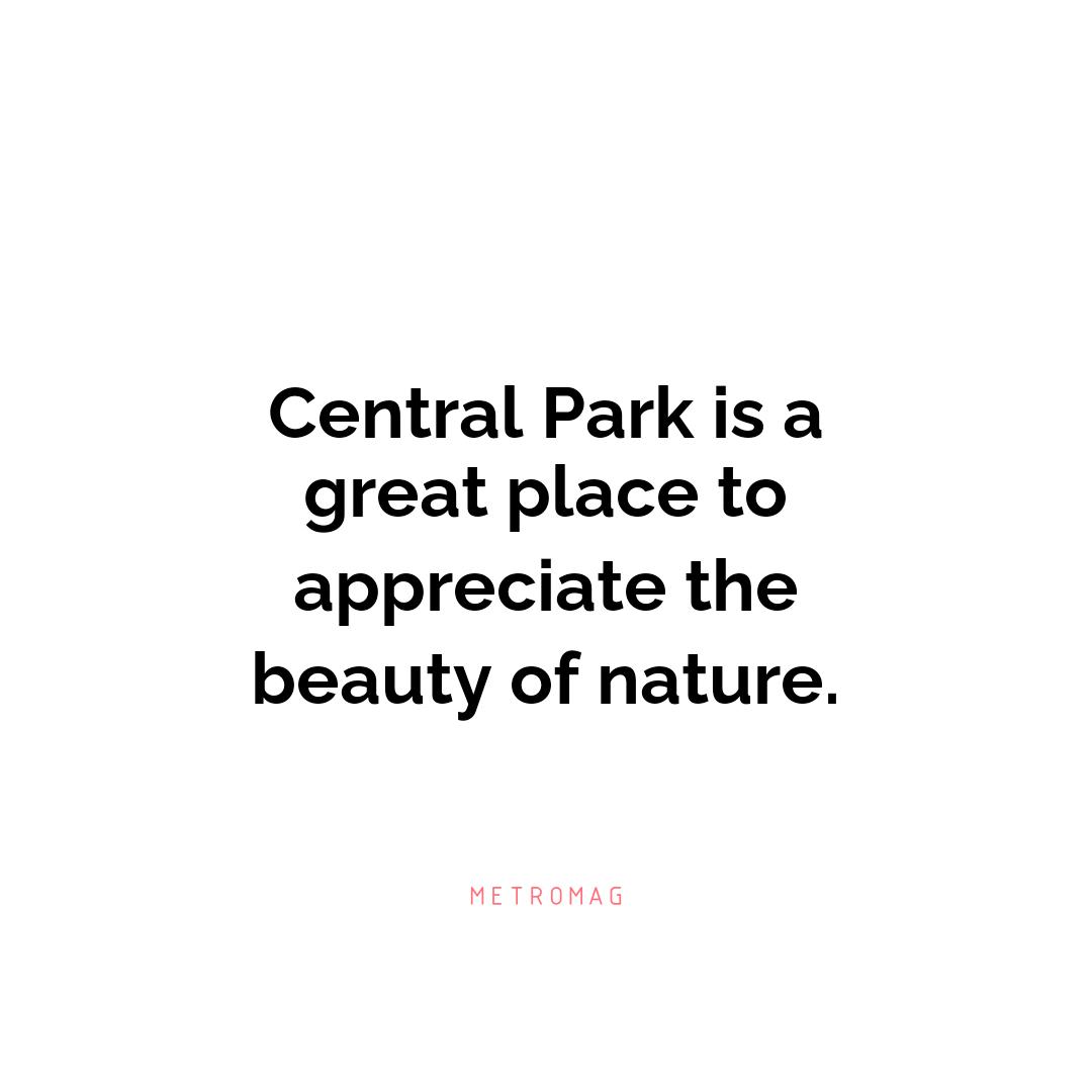 Central Park is a great place to appreciate the beauty of nature.