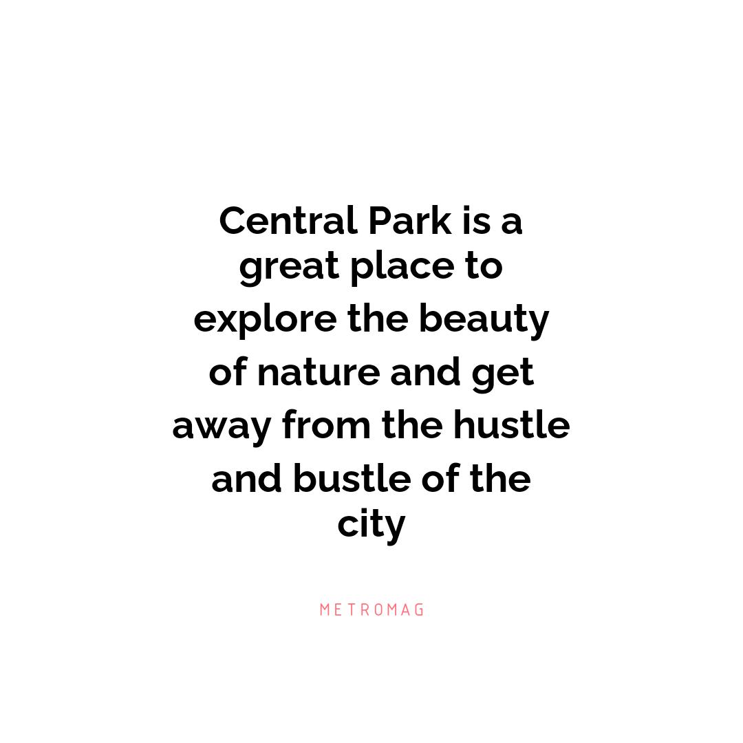 Central Park is a great place to explore the beauty of nature and get away from the hustle and bustle of the city