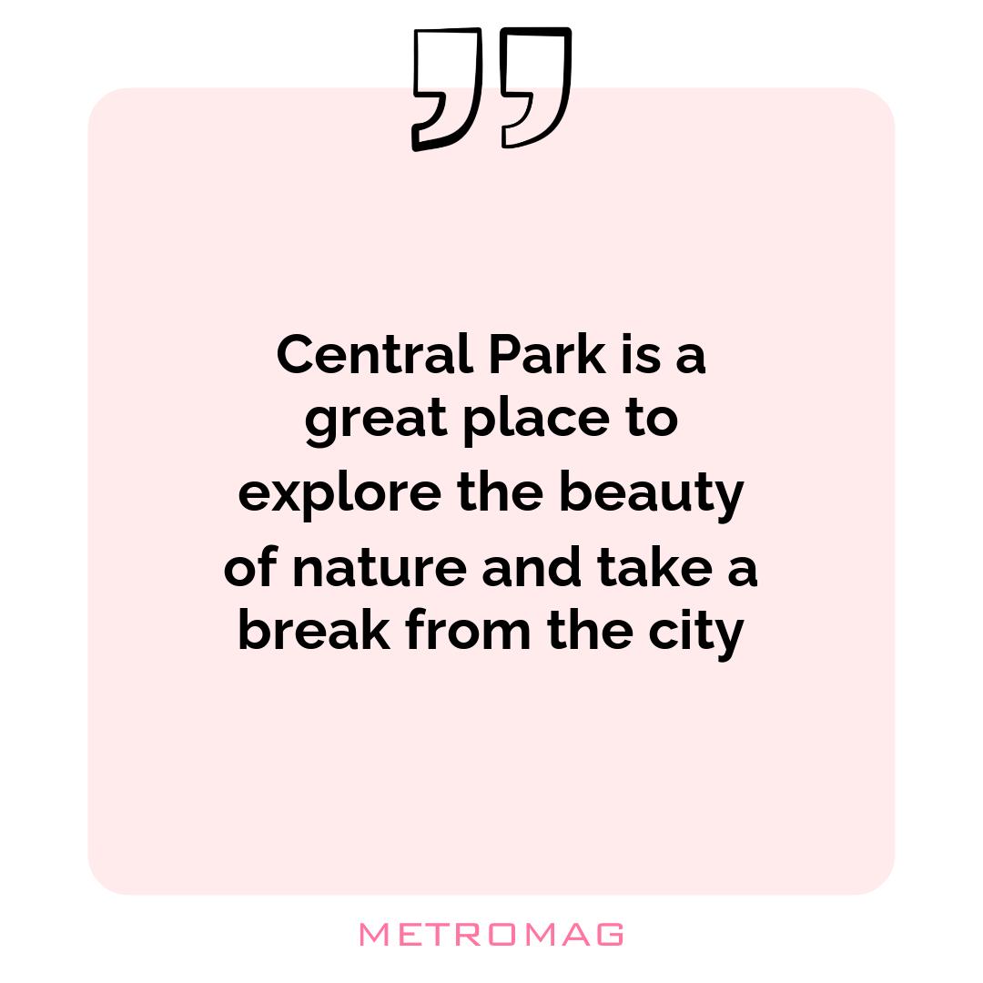 Central Park is a great place to explore the beauty of nature and take a break from the city