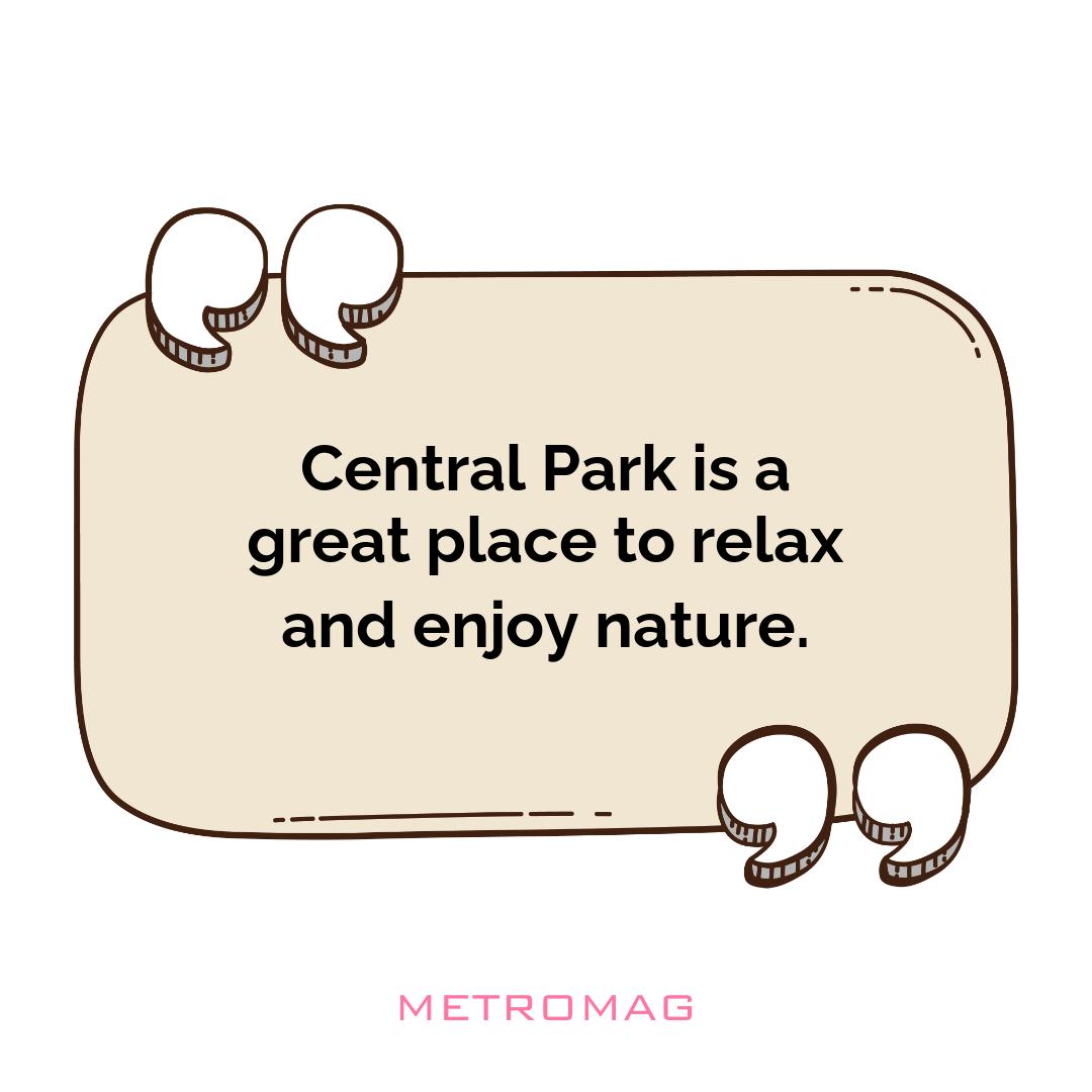 Central Park is a great place to relax and enjoy nature.