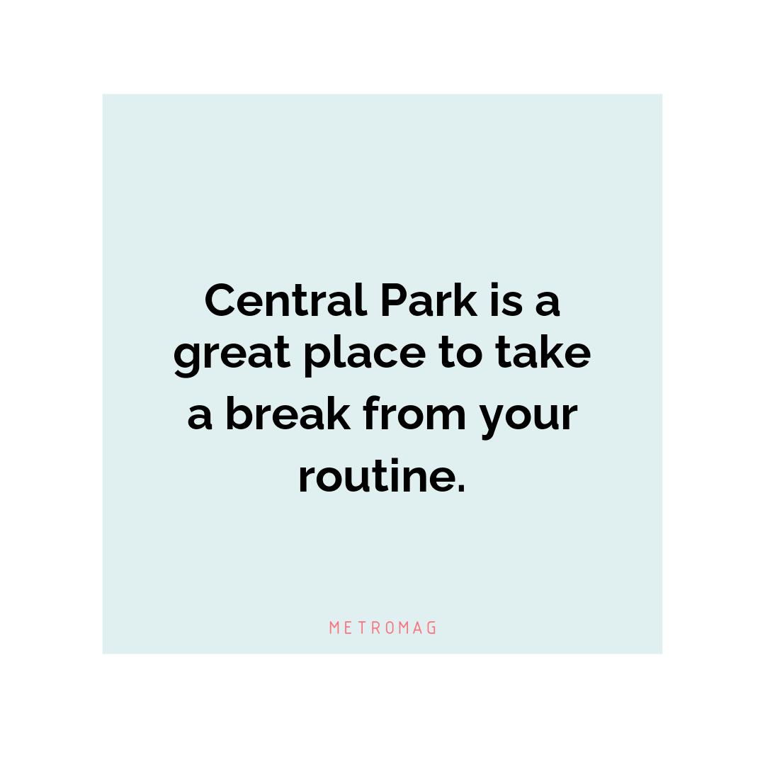 Central Park is a great place to take a break from your routine.