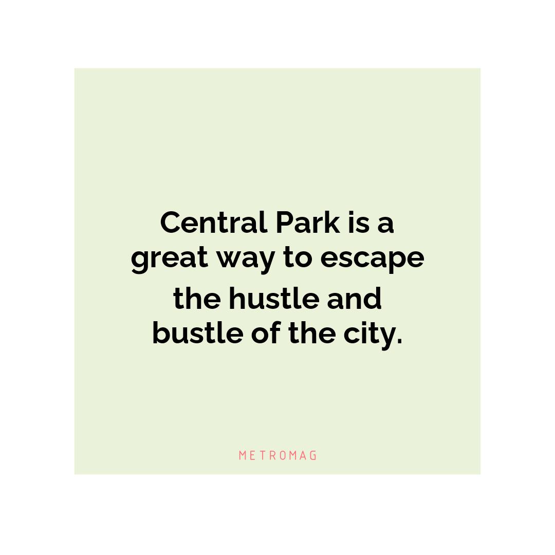 Central Park is a great way to escape the hustle and bustle of the city.