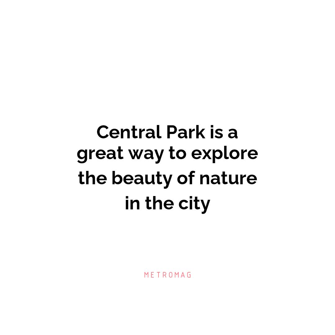 Central Park is a great way to explore the beauty of nature in the city